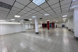 Помещение 510 м² с арендатором