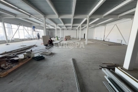 Здание Торговое Офис 1000 м²